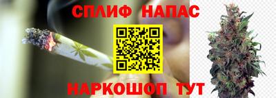 спайс Гагарин