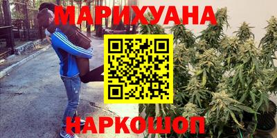 спайс Гагарин