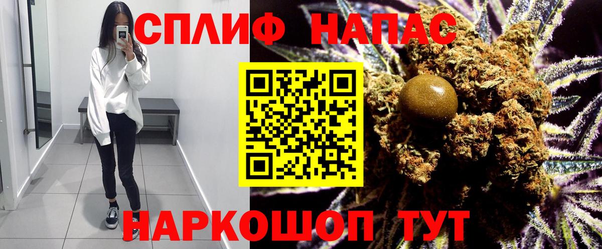 Конопля сатива Шелехов